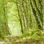 بيت للعطل L'envol - Oasis Ressource *